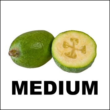 FEIJOAS 5KG - MEDIUM