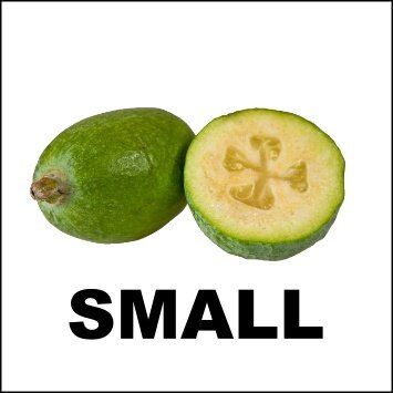 FEIJOAS 5KG - SMALL