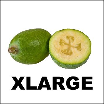 FEIJOA 5KG - XLARGE