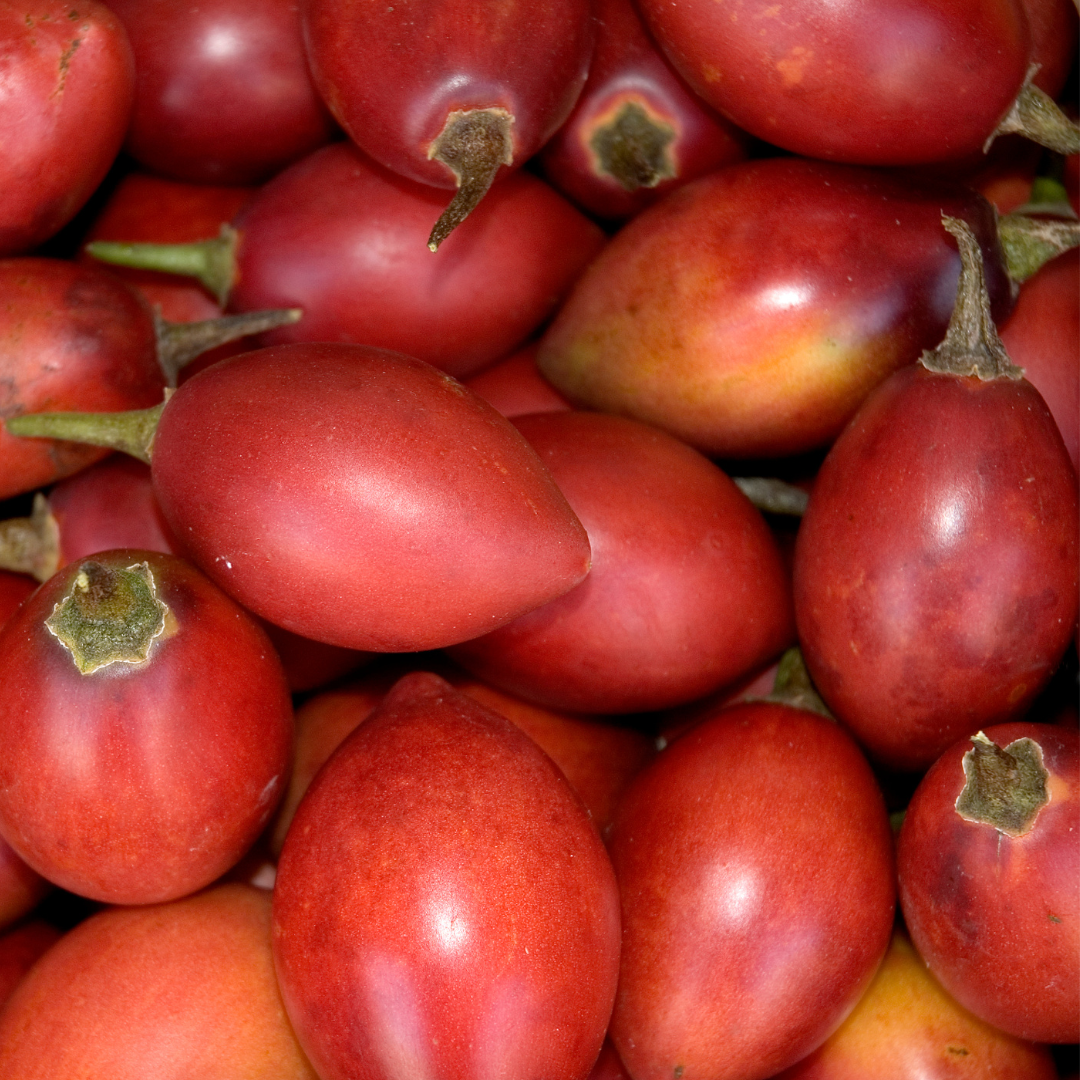 TAMARILLO RED